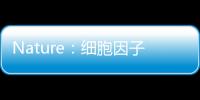 Nature：細胞因子出人意表的新作用