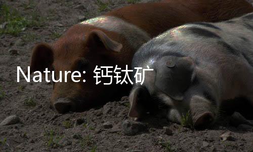 Nature: 鈣鈦礦基三結光伏效率和穩定性的新突破 – 材料牛
