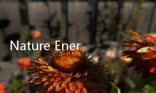 Nature Energy:亞鐵氰化鎳作為高性能尿素氧化催化劑 – 材料牛