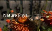 Nature Physics: 二維半導(dǎo)體超晶格異質(zhì)結(jié)中的激子絕緣態(tài) – 材料牛