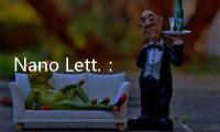 Nano Lett.：Pt