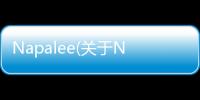 Napalee(關于Napalee簡述)