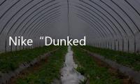 Nike“Dunked”全新鞋款曝光，粗曠整體風(fēng)格