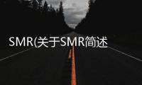 SMR(關于SMR簡述)