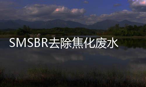 SMSBR去除焦化廢水中有機物及氮的特性