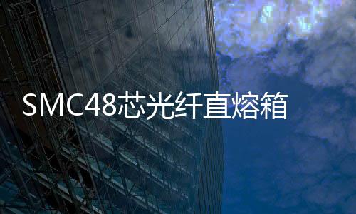 SMC48芯光纖直熔箱產品圖文介紹