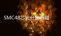 SMC48芯光分路器箱【內部配置圖文】