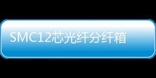 SMC12芯光纖分纖箱【內部結構說明】