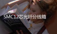 SMC12芯光纖分線箱【圖文并茂簡(jiǎn)介】