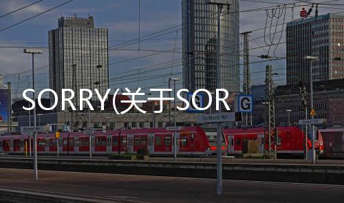 SORRY(關(guān)于SORRY簡(jiǎn)述)