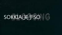 SOKKIA(關于SOKKIA簡述)