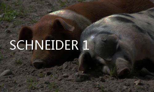 SCHNEIDER 140CPU53414B