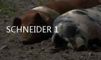 SCHNEIDER 140CPU53414B