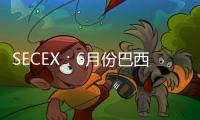 SECEX：6月份巴西棉花日均出口量同比增長166%