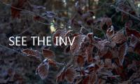 SEE THE INVISIBLE邀請函