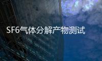 SF6氣體分解產物測試儀(關于SF6氣體分解產物測試儀簡述)