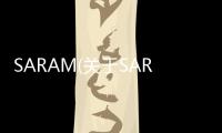 SARAM(關于SARAM簡述)