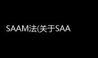 SAAM法(關(guān)于SAAM法簡述)