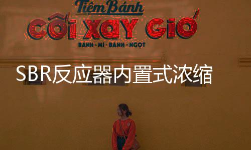 SBR反應(yīng)器內(nèi)置式濃縮池的設(shè)計(jì)與運(yùn)行