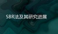 SBR法及其研究進展