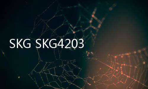 SKG SKG4203(關于SKG SKG4203簡述)