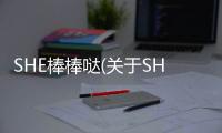 SHE棒棒噠(關(guān)于SHE棒棒噠簡(jiǎn)述)