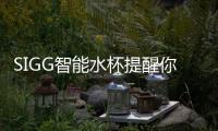 SIGG智能水杯提醒你炎熱夏季健康飲水【健康】風(fēng)尚中國(guó)網(wǎng)