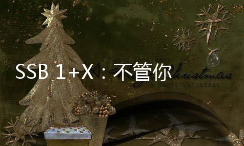 SSB 1+X：不管你站得多高，都讓你的手機信號滿滿！