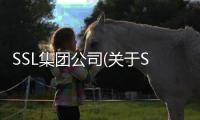 SSL集團公司(關于SSL集團公司簡述)