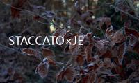 STACCATO×JEREMY SCOTT Launch Party潮燃開啟