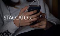 STACCATO x Timothy Goodman 全新聯名系列即將登陸