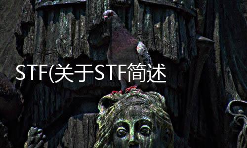 STF(關于STF簡述)