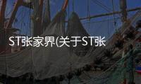 ST張家界(關于ST張家界簡述)