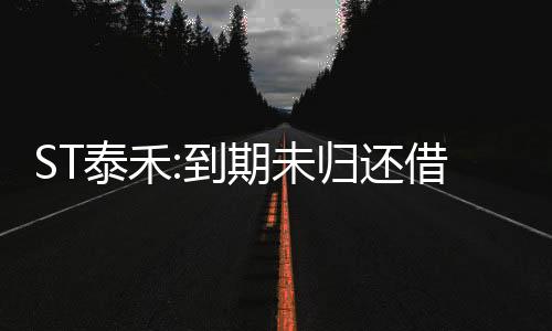 ST泰禾:到期未歸還借款本金585.37億元