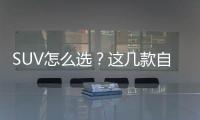 SUV怎么選？這幾款自主精品車型值得入手
