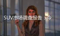 SUV市場調查報告：今年將成增速回落起點