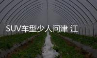 SUV車型少人問津 江淮今年銷量連跌7個月