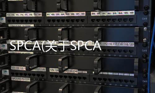 SPCA(關(guān)于SPCA簡述)