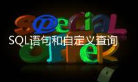 SQL語句和自定義查詢在導(dǎo)入包中可用