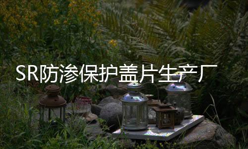 SR防滲保護蓋片生產(chǎn)廠/加工廠