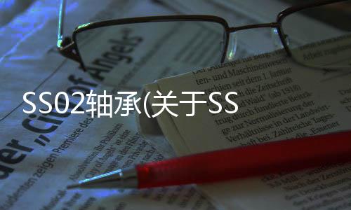 SS02軸承(關于SS02軸承簡述)