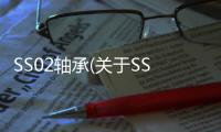 SS02軸承(關于SS02軸承簡述)