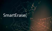 SmartErase(關(guān)于SmartErase簡述)