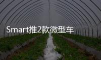 Smart推2款微型車北京亮相 搭0.9T引擎
