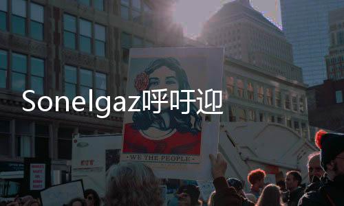 Sonelgaz呼吁迎接普及可再生能源的挑戰