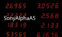 SonyAlphaA58與NEX