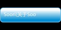 Soori(關于Soori簡述)