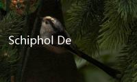 Schiphol Departure Lounge 4 / Tjep（組圖）