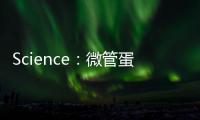 Science：微管蛋白糖基化異常，男性不育的又一個潛在原因！