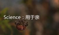 Science：用于親密生物界面的生物粘合劑聚合物半導體和晶體管 – 材料牛
